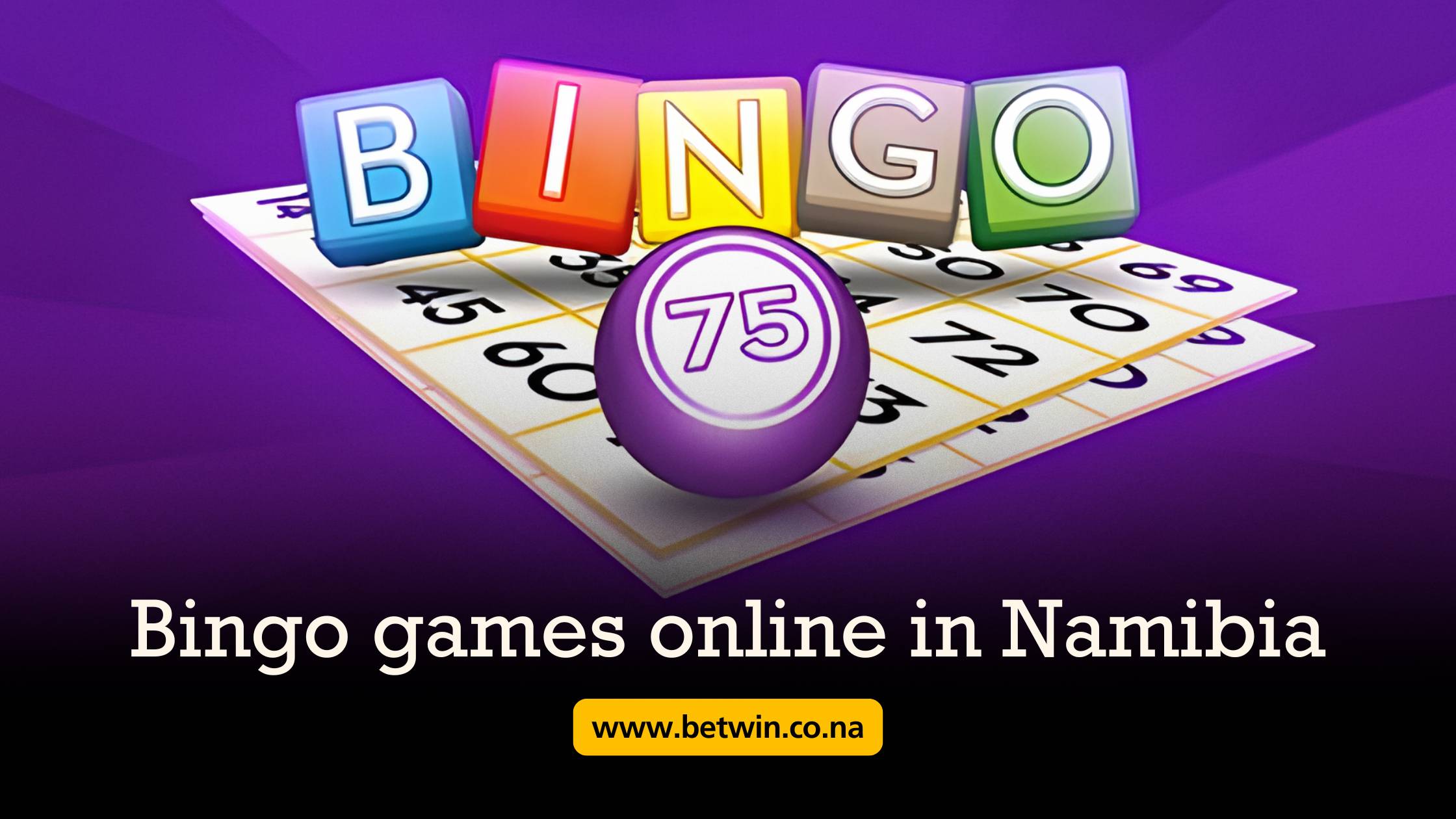 Bingo Games online in Namibia