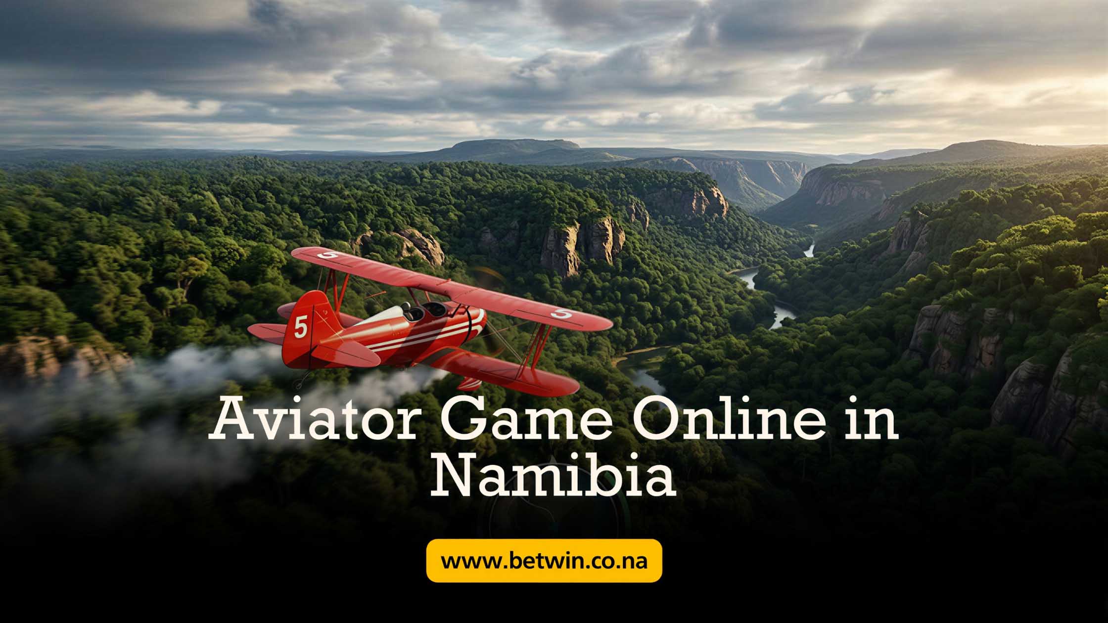 Aviator Game Online in Namibia
